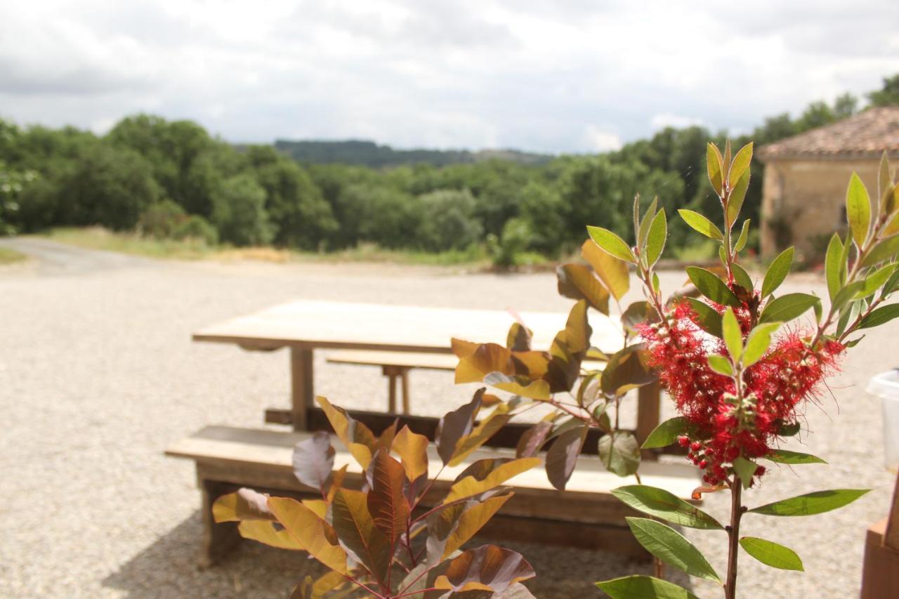 Domaine De La Couderquie Acomodação com café da manhã Lautrec Exterior foto