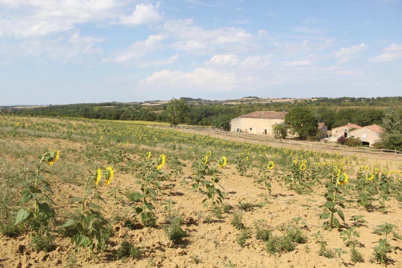Domaine De La Couderquie Acomodação com café da manhã Lautrec Exterior foto